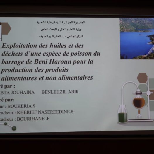 مناقشة اول مذكرة تخرج شهادة جامعية مؤسسة ناشئة