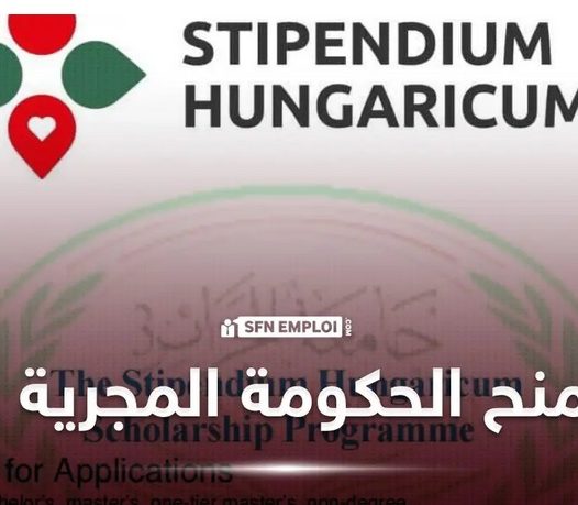 عرض المنحة الدراسية