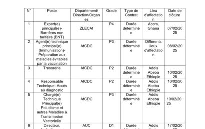 Vacance de postes au sein de l’Union Africaine