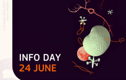 Online Information Session for the MSCA Doctoral Networks 2025 Call