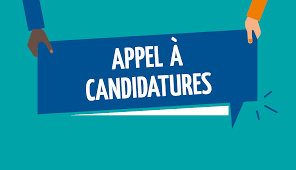 Appel à candidatures pour la nomination d’experts au sein