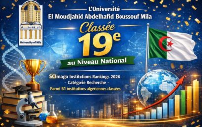 SCImago Institutions Rankings (SIR